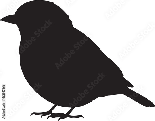 Kinglet bird vector silhouette on white background