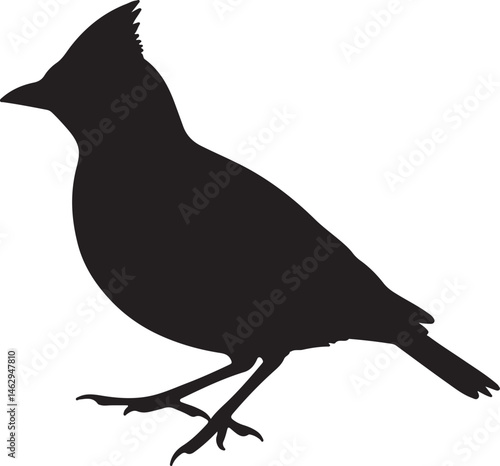 Lark bird vector silhouette on white background