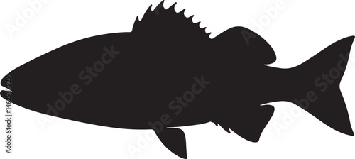 Lates fish vector silhouette on white background