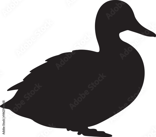 Mallard Duck vector silhouette on white background