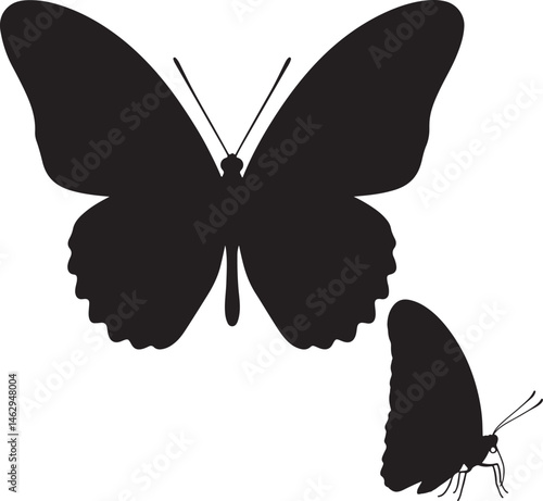 Onyx Butterfly vector silhouette on white background