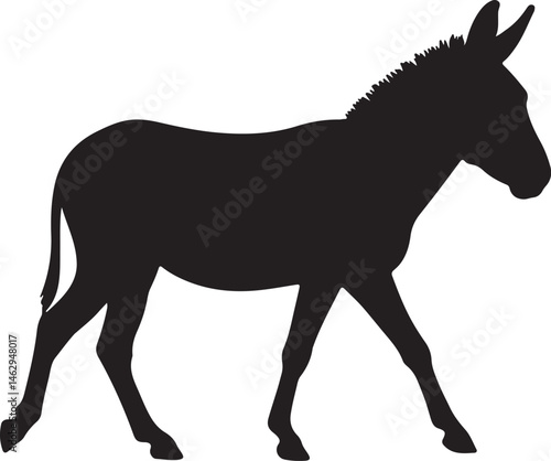 Onager wild donkey vector silhouette on white background