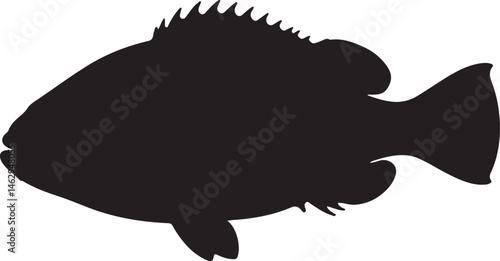 Orange Roughy fish vector silhouette on white background