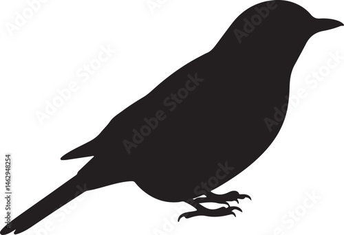 Orange-headed Thrush bird vector silhouette on white background