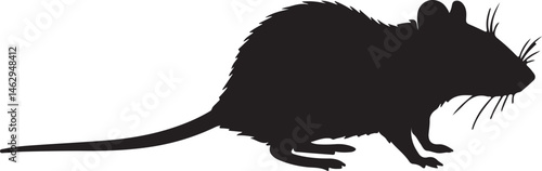 Rat rodent vector silhouette on white background