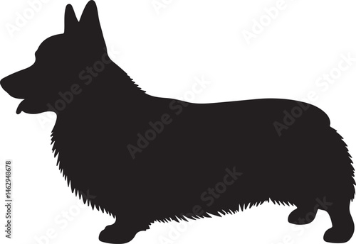 Low-bodied herding dog silhouette standing in profile on white background