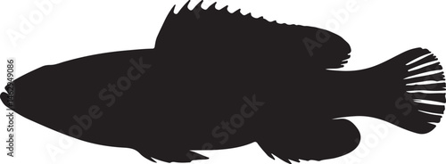 Yarrell's Blenny Silhouette – Single Icon