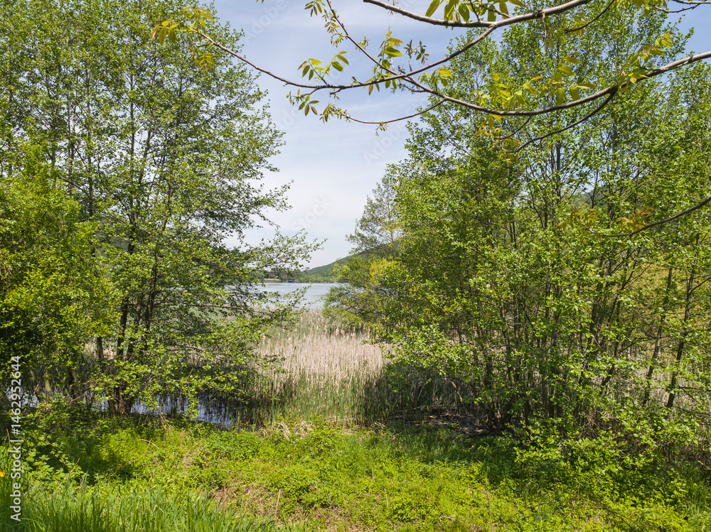 Spring Landscape of Pancharevo lake, Bulgaria