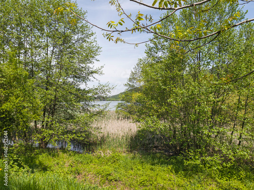 Obraz na płótnie Spring Landscape of Pancharevo lake, Bulgaria w salonie