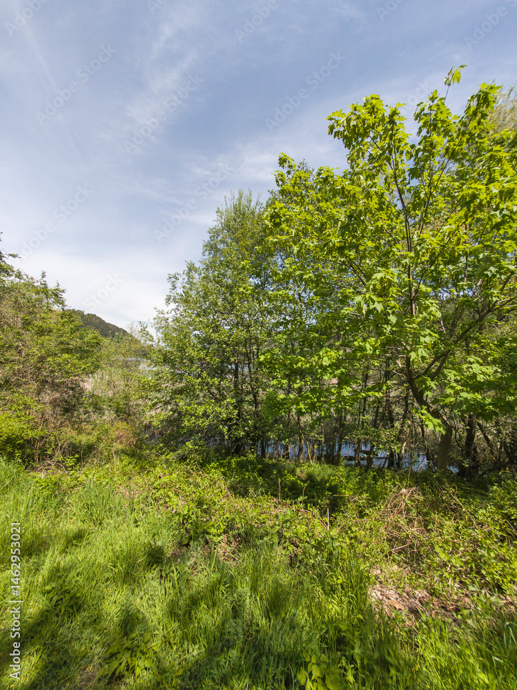 Spring Landscape of Pancharevo lake, Bulgaria