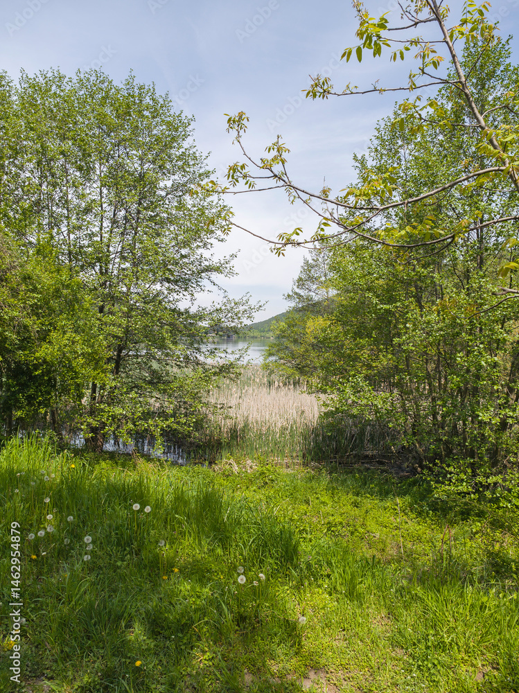 Spring Landscape of Pancharevo lake, Bulgaria