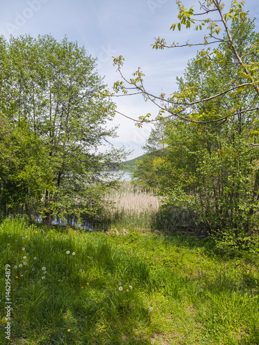 Obraz na płótnie Spring Landscape of Pancharevo lake, Bulgaria w salonie