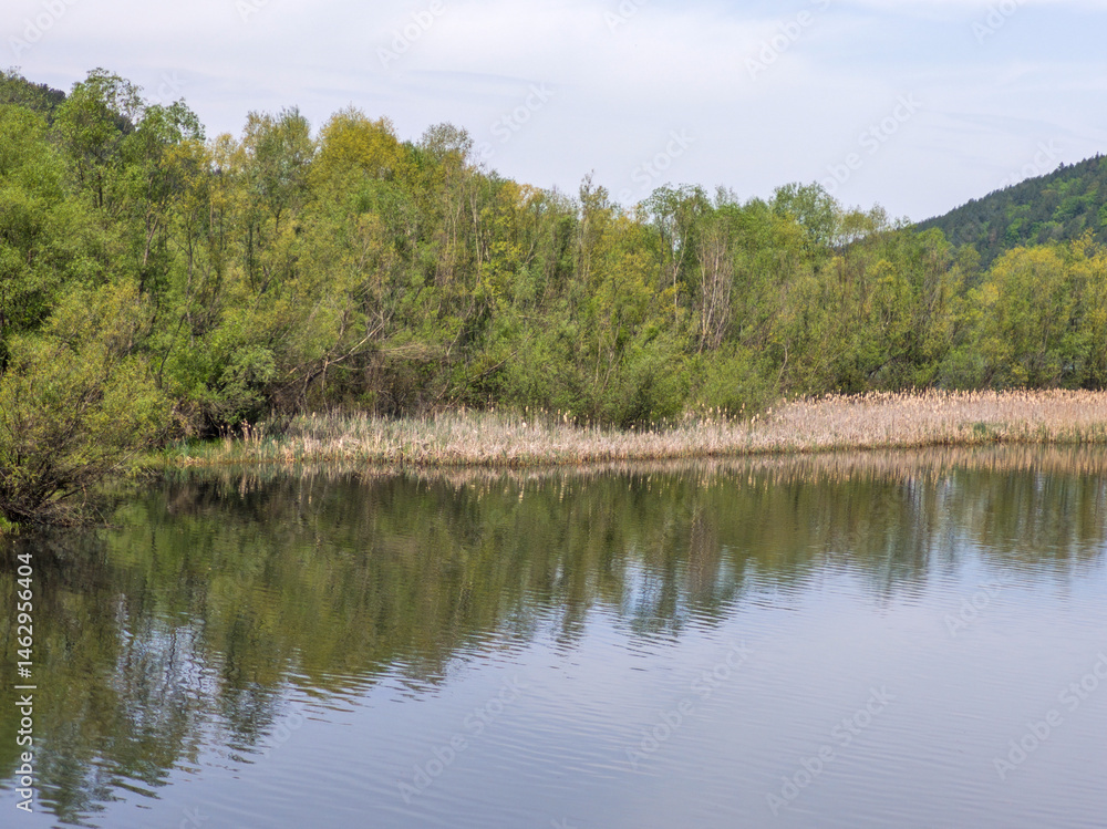 Spring Landscape of Pancharevo lake, Bulgaria