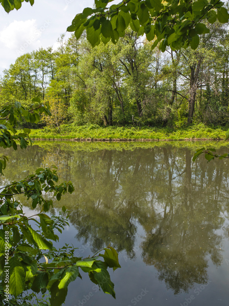 Spring Landscape of Pancharevo lake, Bulgaria