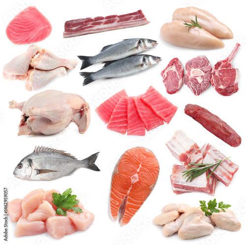 Photography Fish and meat