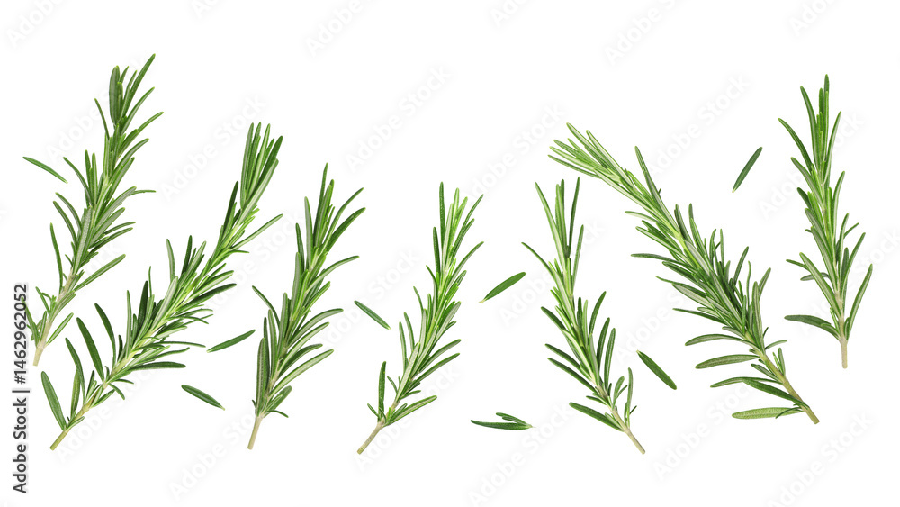 Obraz premium Fresh aromatic rosemary isolated on white, collage