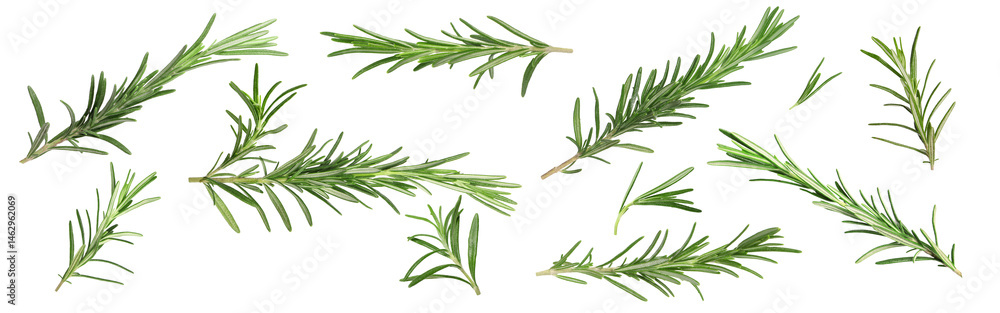 Fototapeta premium Fresh aromatic rosemary isolated on white, collage