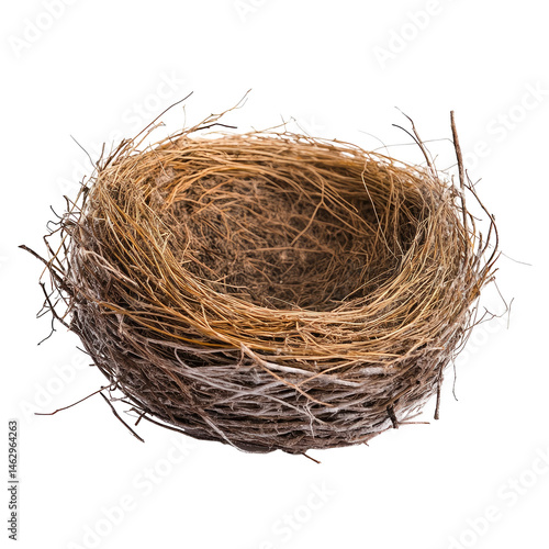 Empty bird nest
