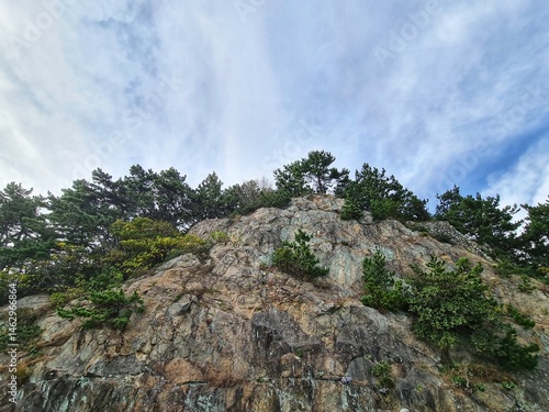 Rocky Hillside with Evergreen Trees Under Cloudy Sky Scenic View