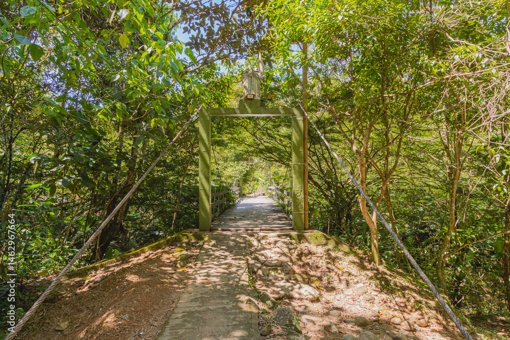 Obraz premium Green jungle suspension bridge path in dappled sunlight