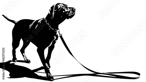 Dog with leash silhouette vector isolated on white background  -  
