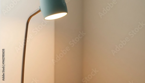 floor lamp in a corner of a room