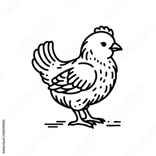 Line Art Chicken Illustration: A Simple and Elegant Design