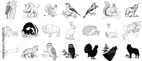 Forest animals and birds Line Icon Set - Simple Vector Outline in minimalistic black and white design