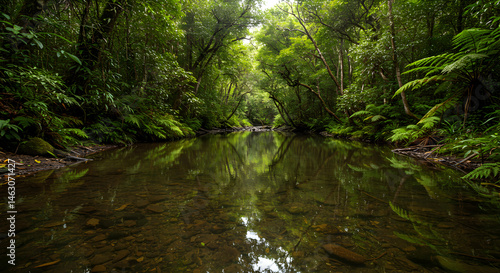 Serene Reflections In Lush Green Forest River Tranquil Environment