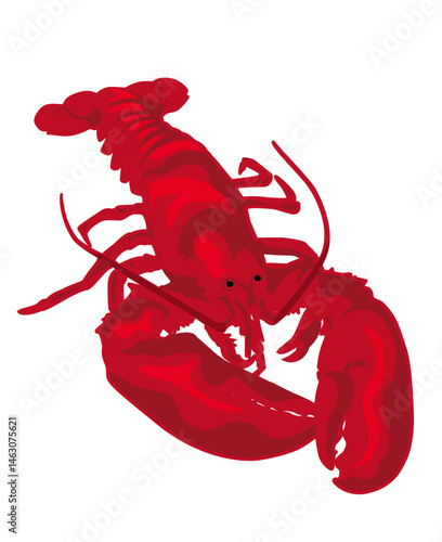 Full Lobster