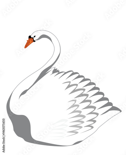 Swan Boat