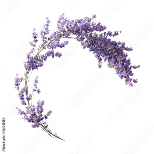 Lavender Floral Wreath Elegant Purple Flowers in a Circular Design