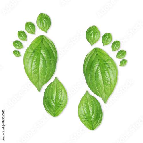 Human footprints made of green leaves on white background, top view. Environmental care, ecology protection, reducing CO2 emission