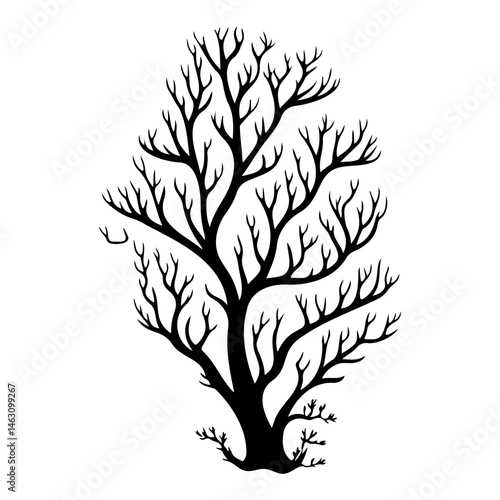 Monochrome arboreal silhouette showcases branching complexity against stark backdrop