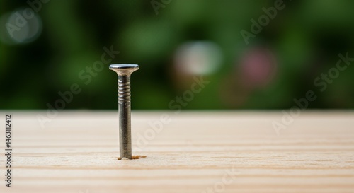 A close-up shot of a single, shiny metal nail partially hammered into a light-colored wooden plank, with a softly blurred green natural background.