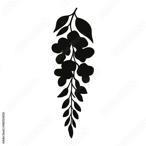 wisteria flower cluster