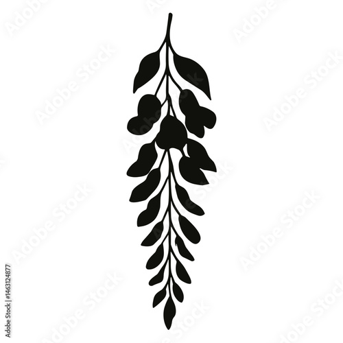 wisteria flower cluster
