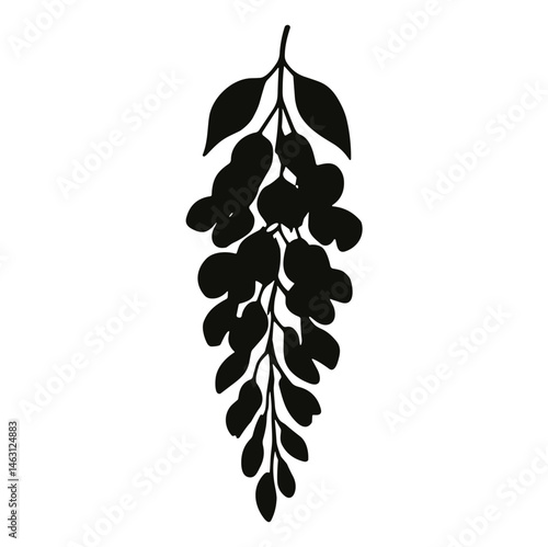 wisteria flower cluster