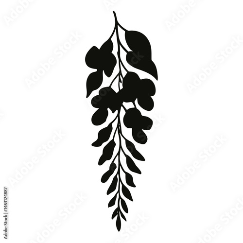 wisteria flower cluster