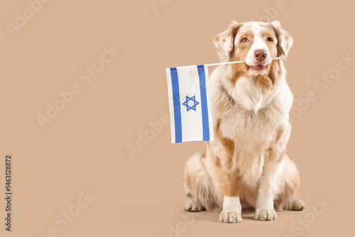 Cute dog with flag of Israe...