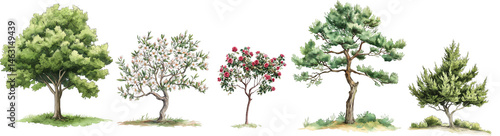 Watercolor Tree and Shrub Collection for Garden Scenes
