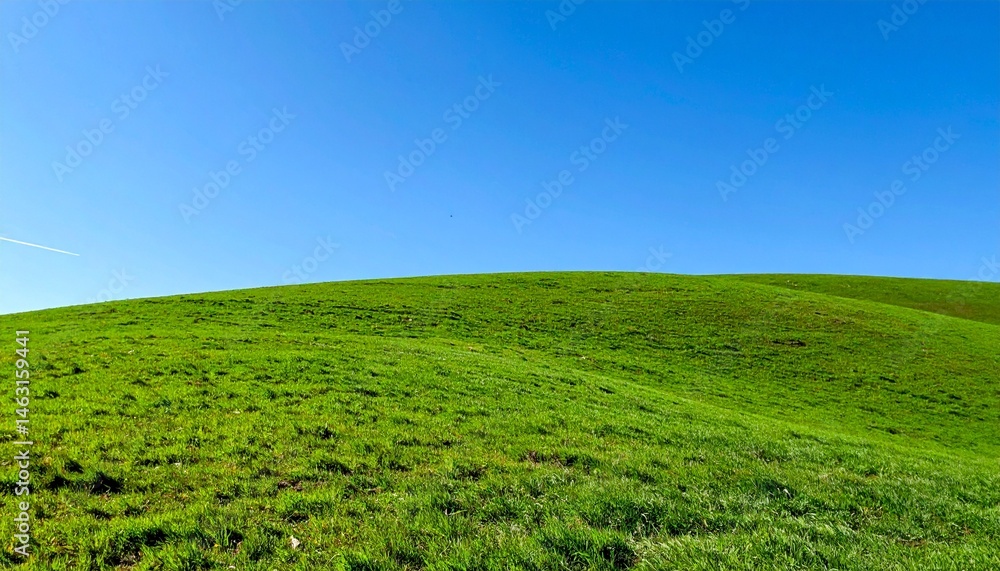 Fototapeta premium 広がる緑の丘と澄み渡る青空が作り出す、穏やかで清々しい風景。シンプルで自然豊かな風景が心を落ち着ける瞬間