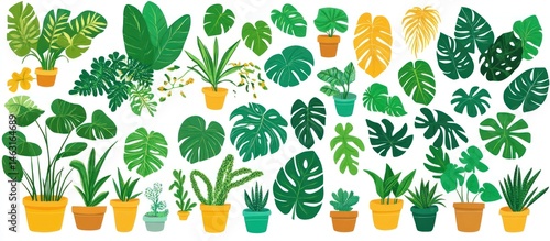 Lush collection of vibrant potted plants and verdant leaves in assorted shapes