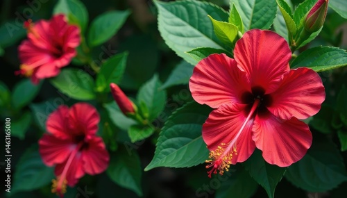 Wallpaper Mural Bold hibiscus flowers, lush green foliage, all-over print, art, textile, summer Torontodigital.ca