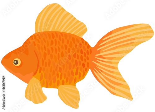 琉金のイラスト 金魚 ベクター素材