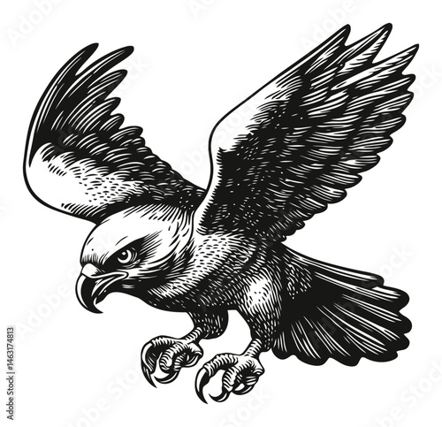 Detailed Engraving of an Eagle in Flight with Intricate Features