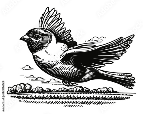 Detailed Engraving of a Bird in Flight with Scenic Background