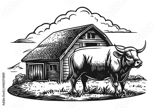 Engraving of a Cow Beside a Barn in Rural Landscape Scene