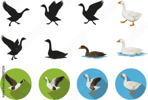 set of goose vector illustration flat style black silhouette
