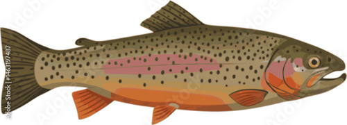 set of tarpon fish, vector illustration, flat style, side
